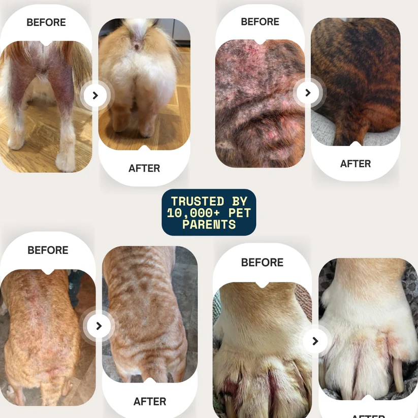 DermaPup Relief Mist